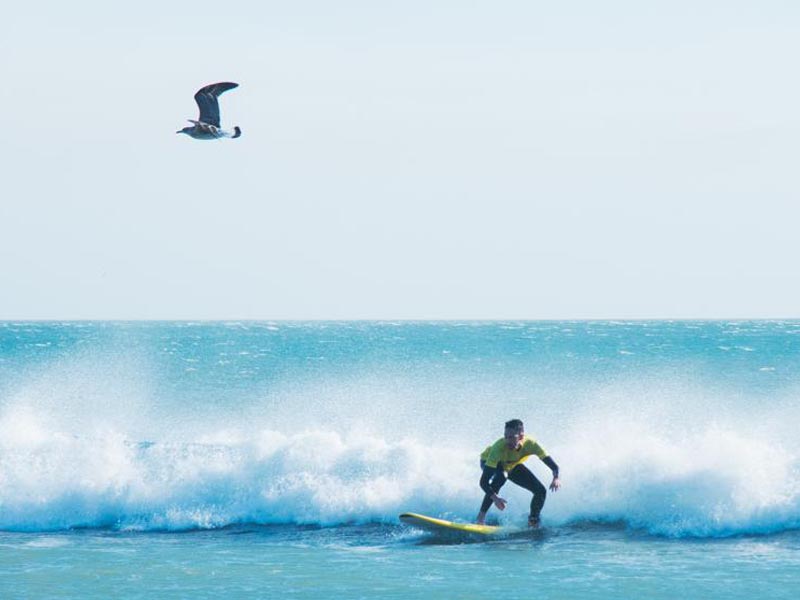 Carcavelos Surf Camp - image of the people surfing 5